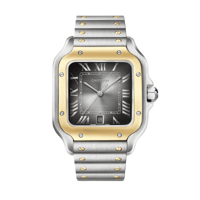 Cartier Santos De Cartier CRW2SA0030 Demi Yellow Gold - VIP Version